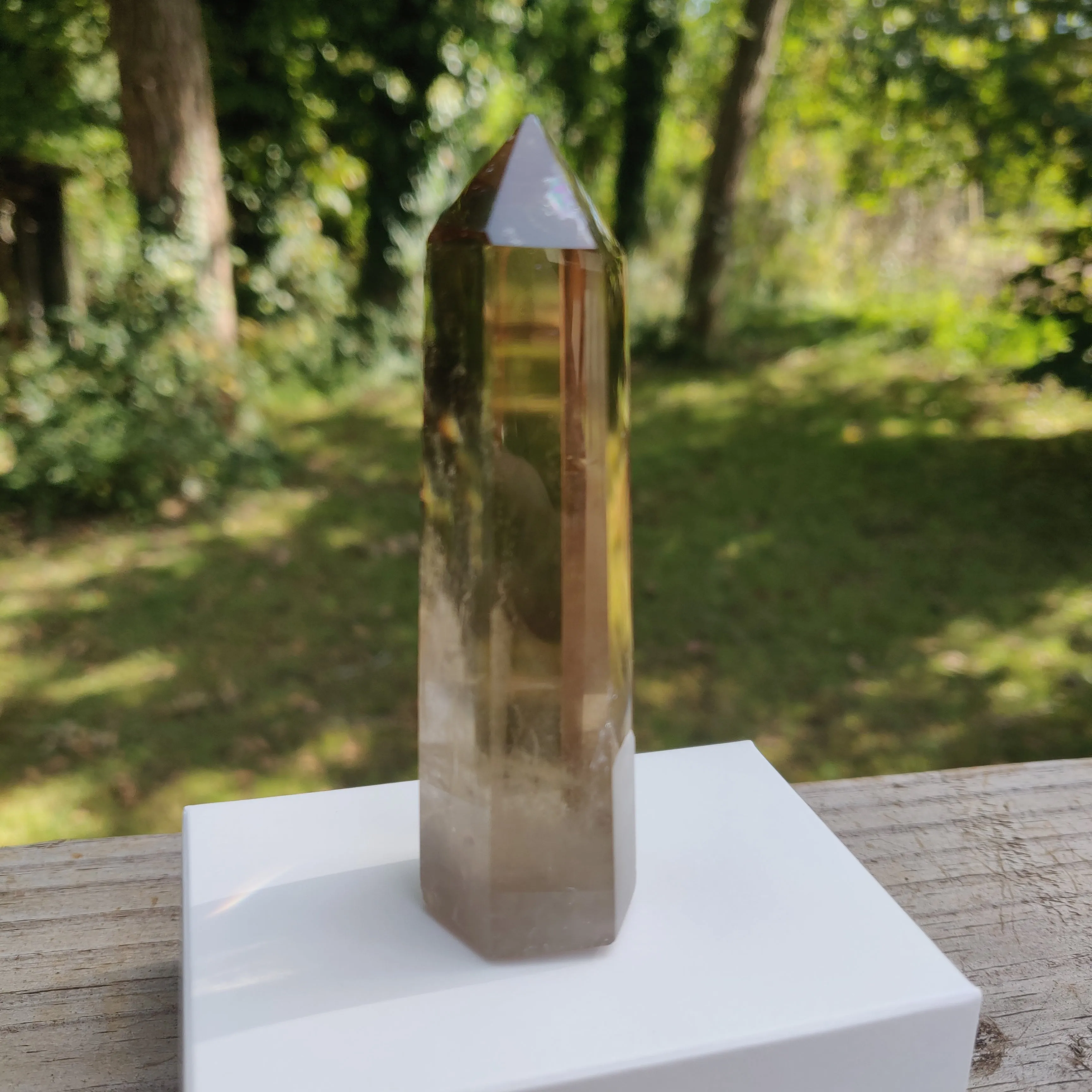 Citrine Point (#1E)