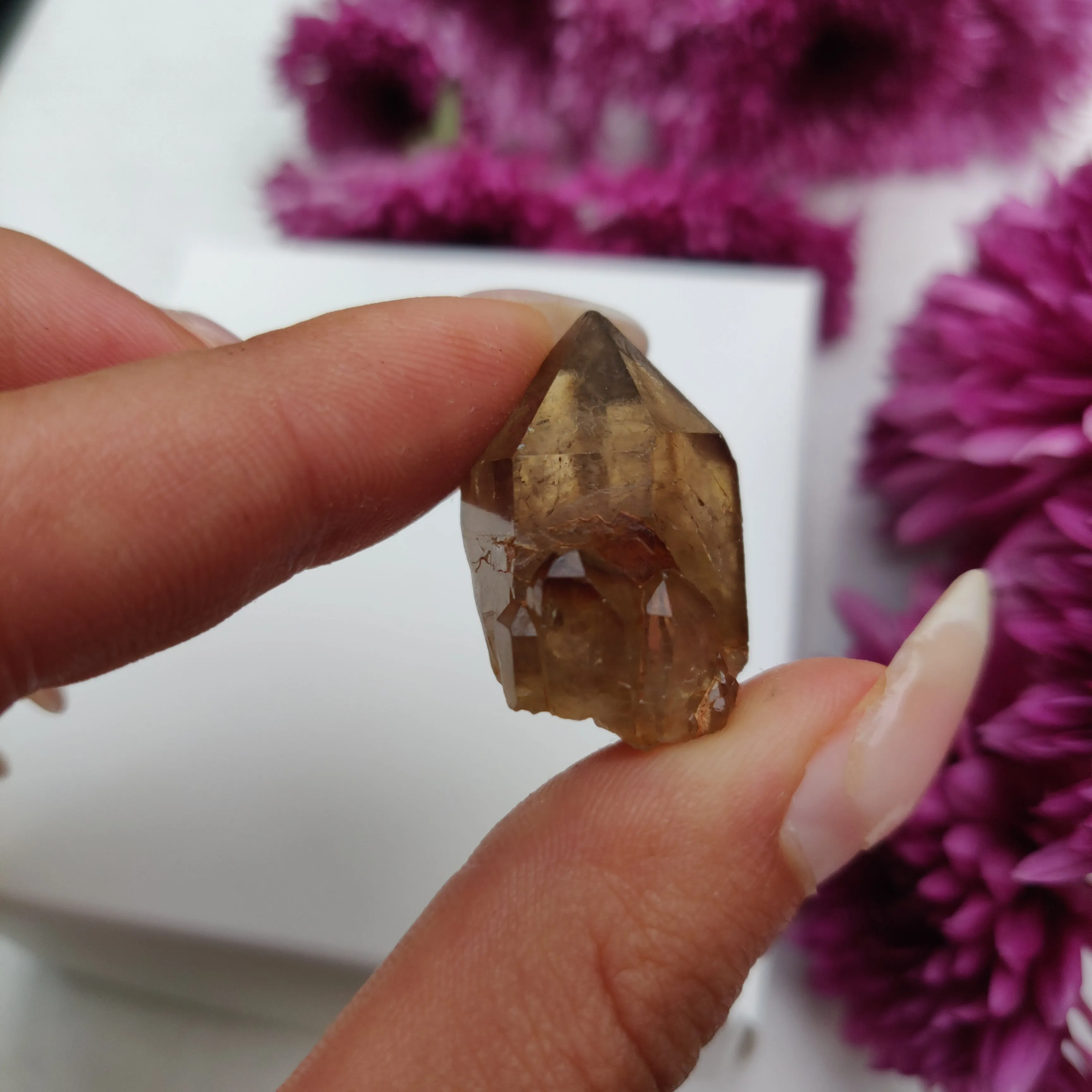 Congo Citrine Point (#10)