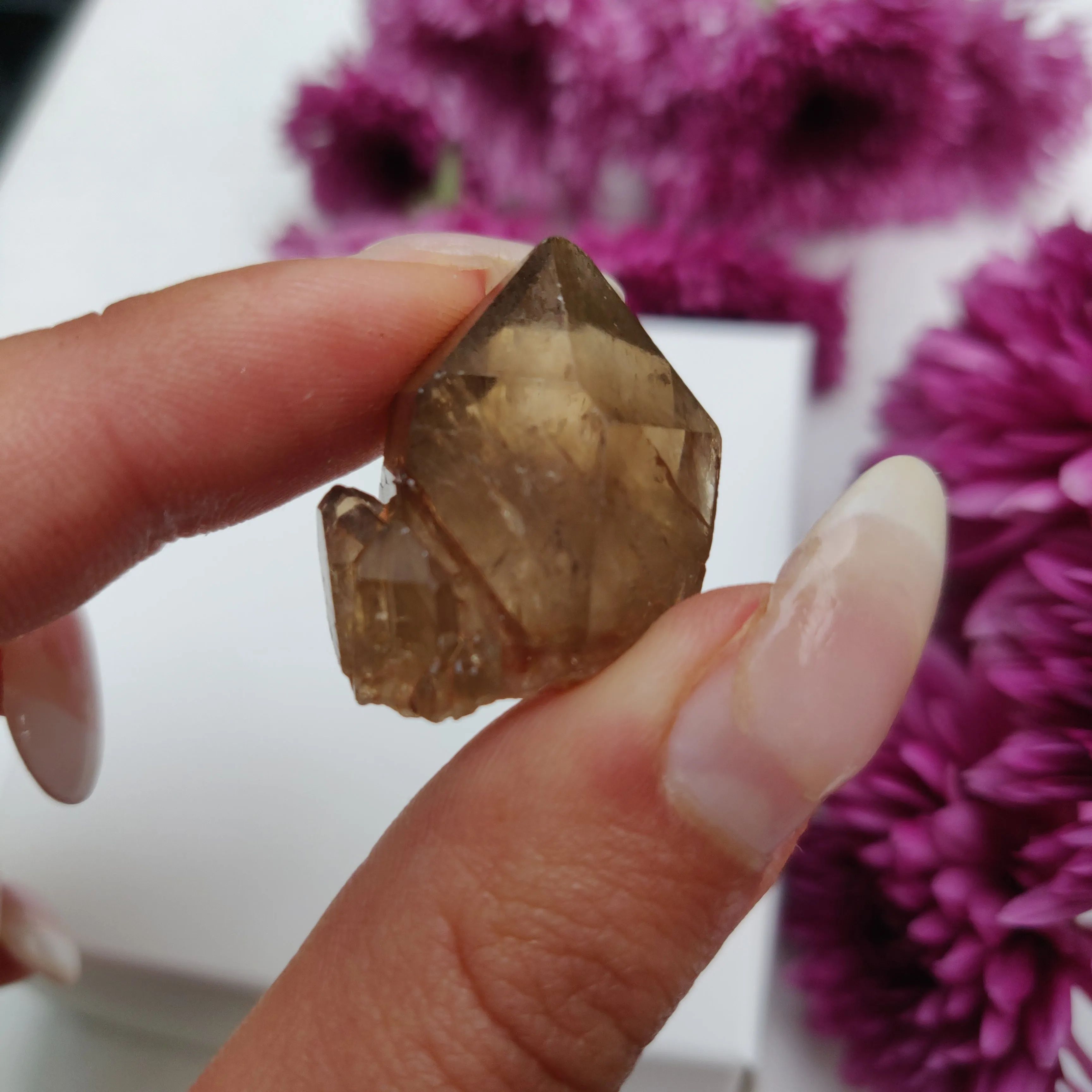 Congo Citrine Point (#10)