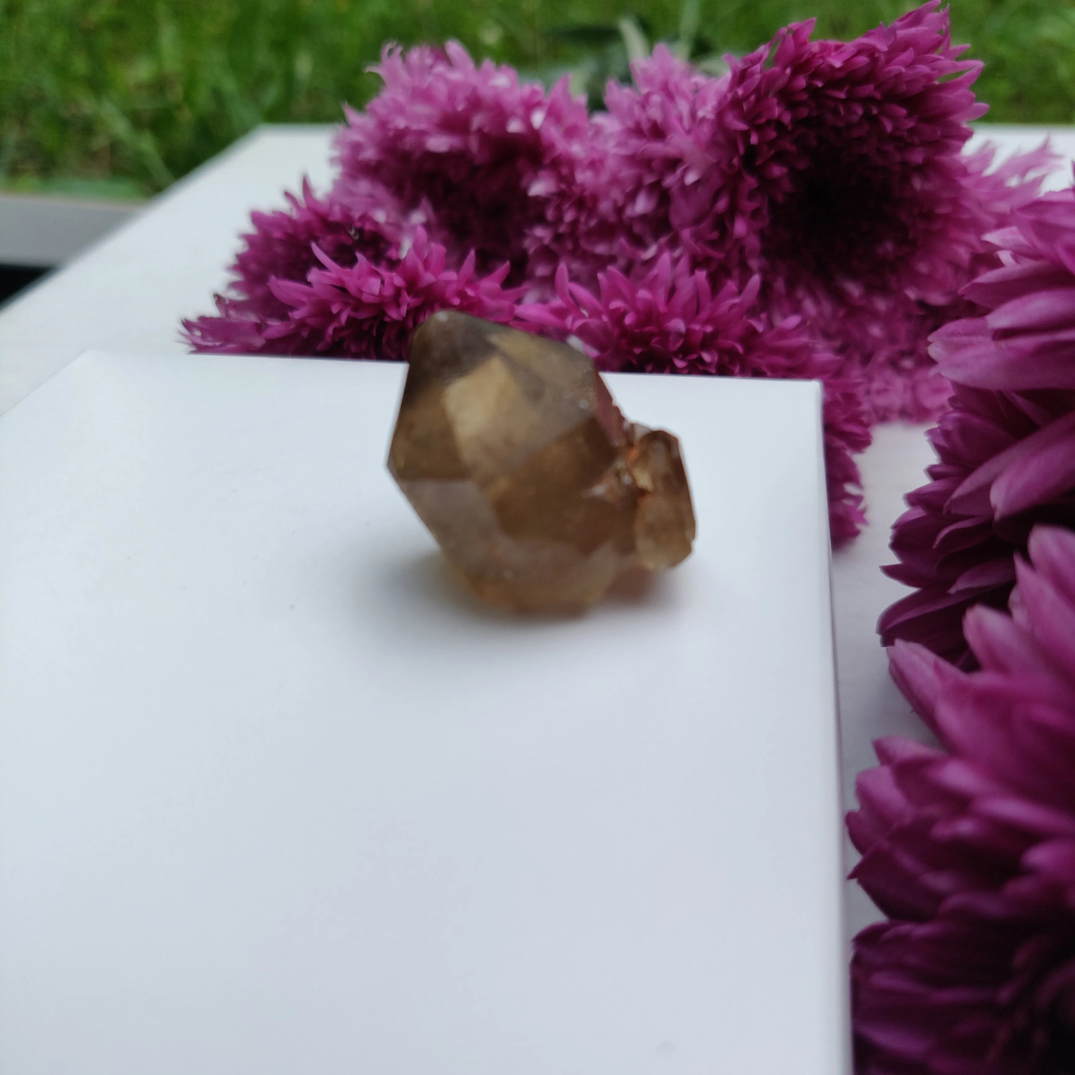 Congo Citrine Point (#10)