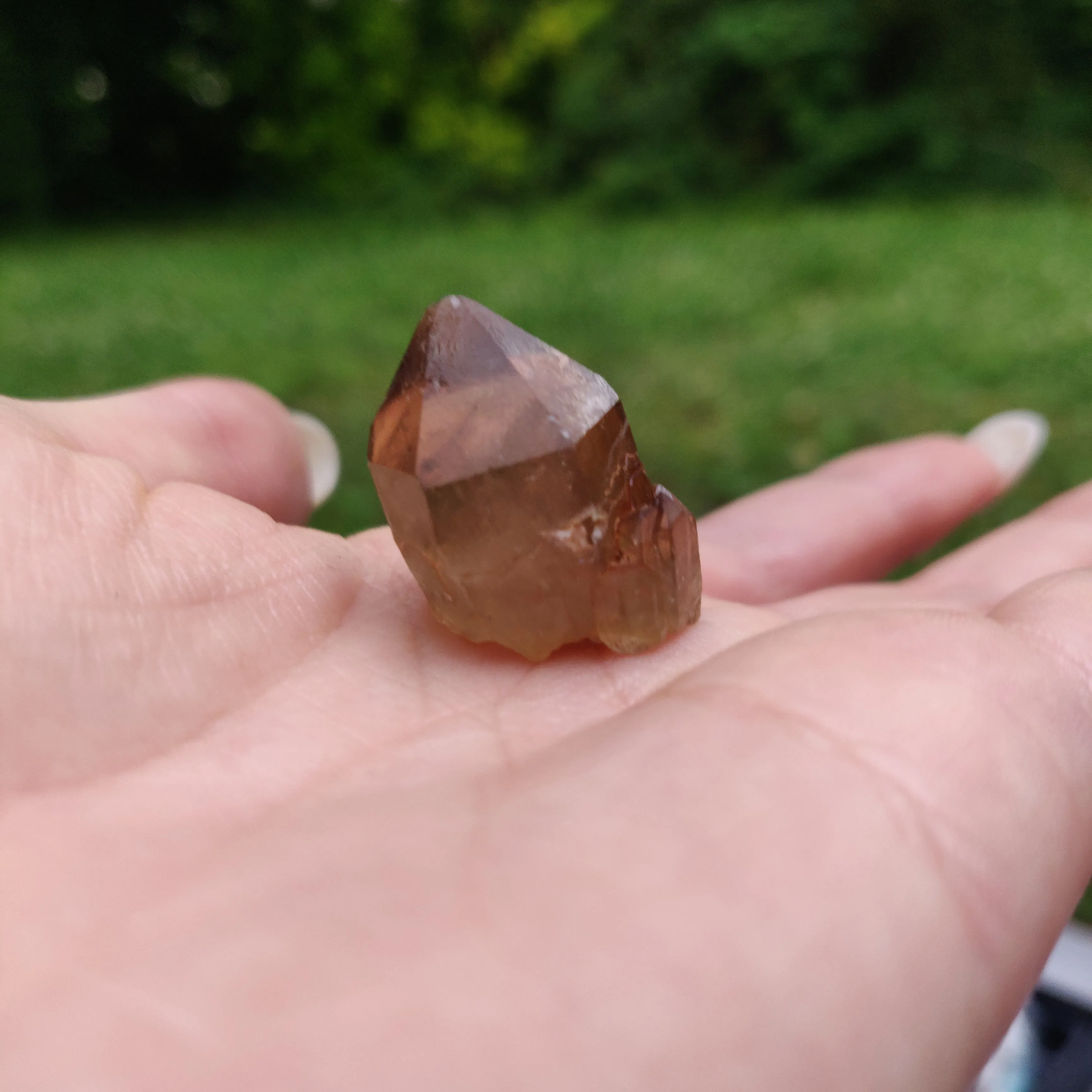 Congo Citrine Point (#10)