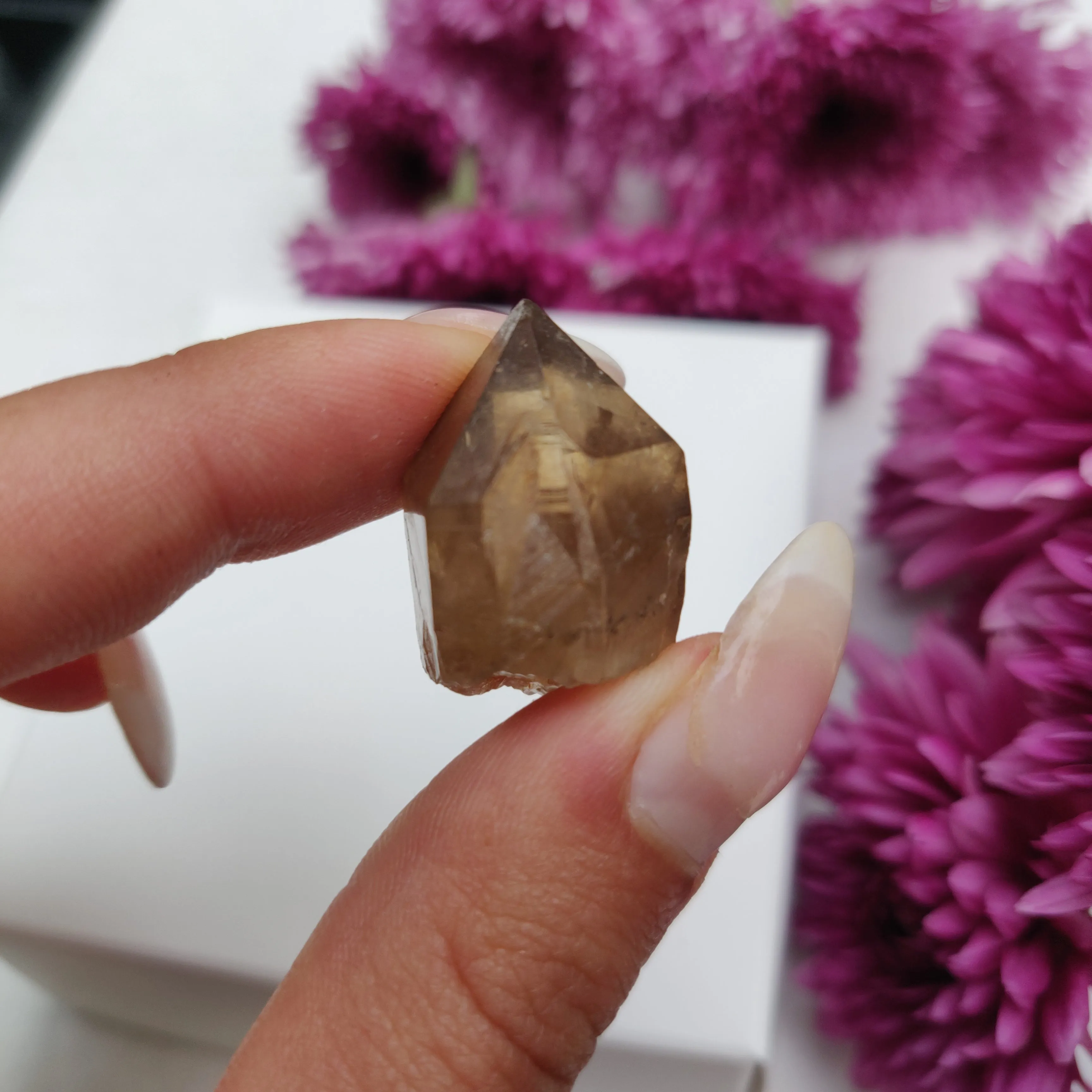 Congo Citrine Point (#10)