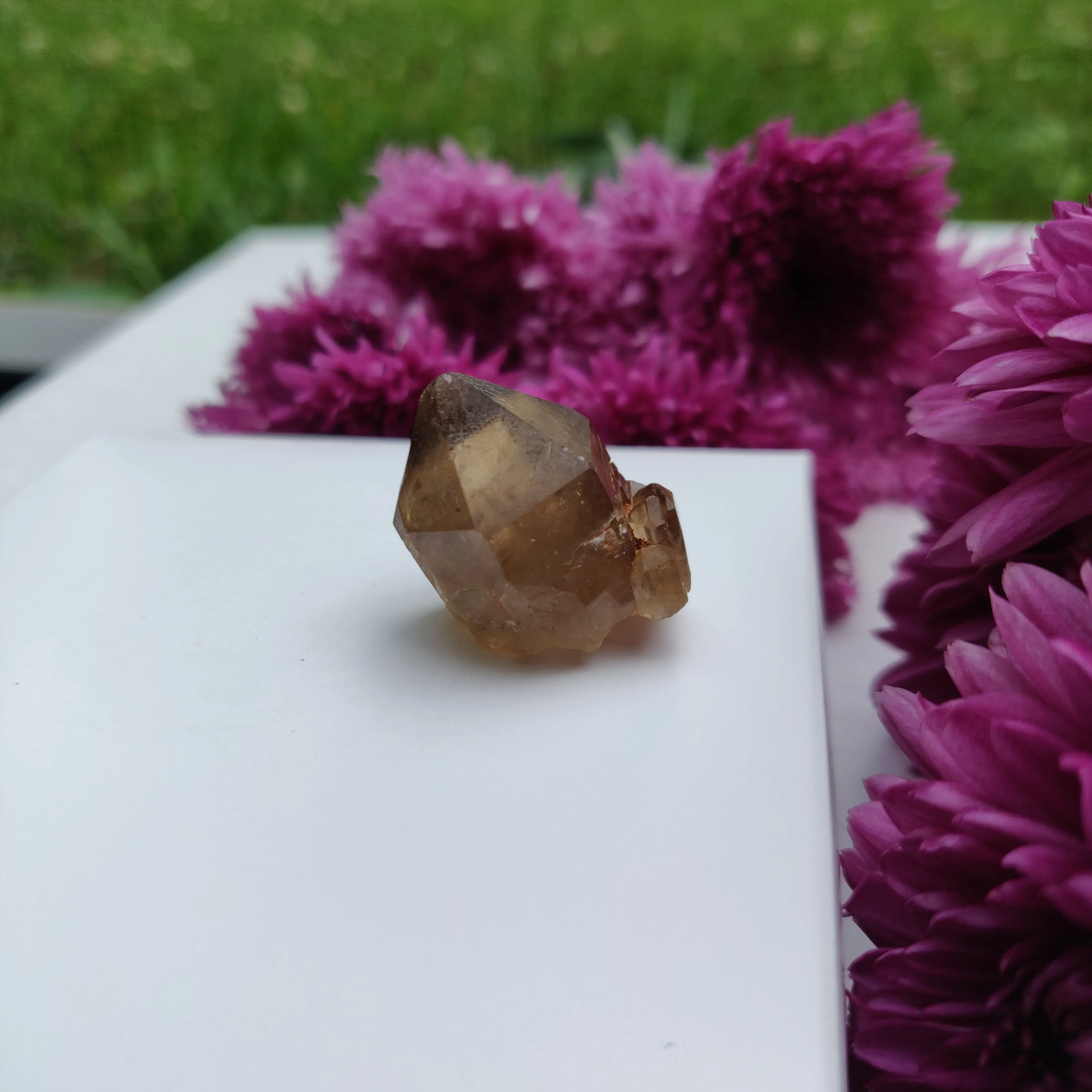 Congo Citrine Point (#10)