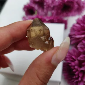 Congo Citrine Point (#10)