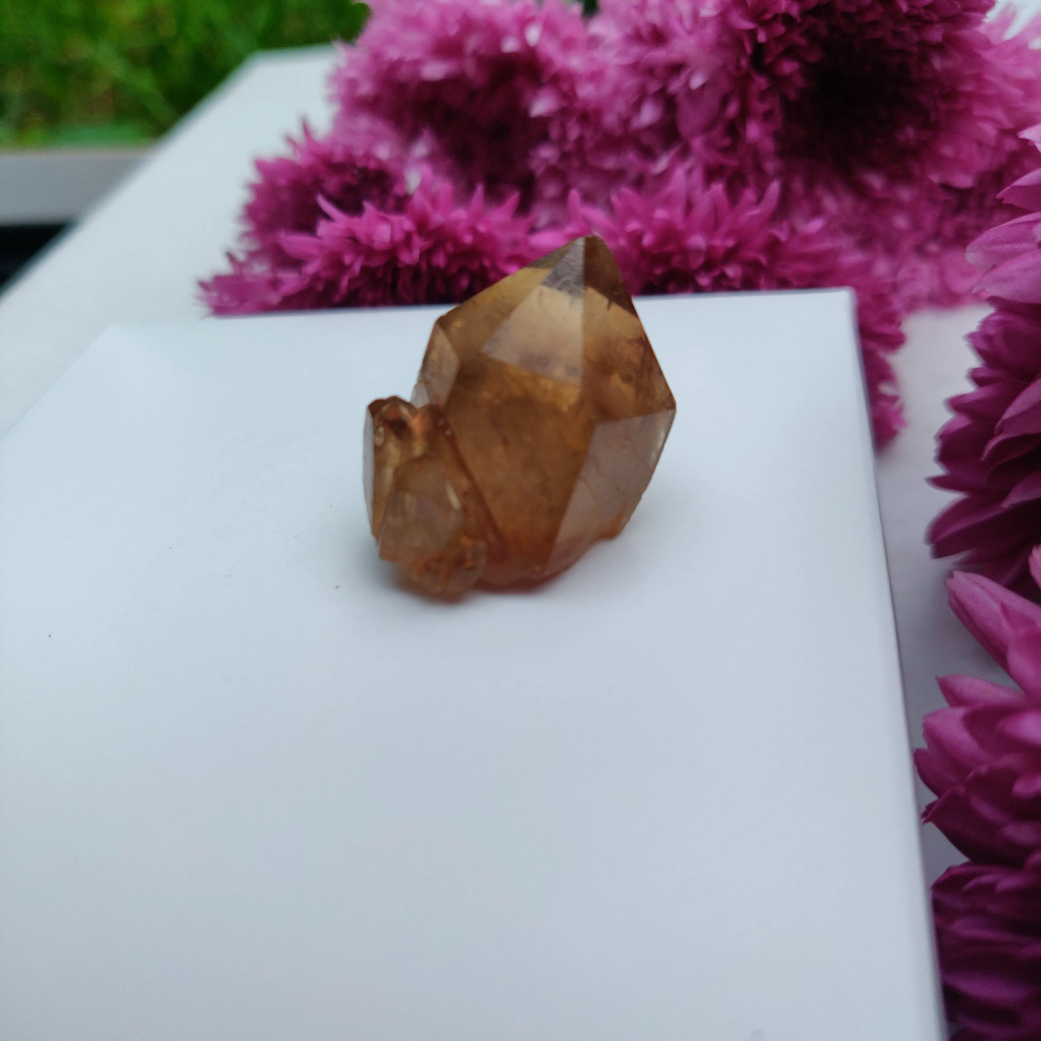 Congo Citrine Point (#10)