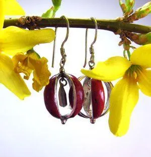 Coral  Earrings