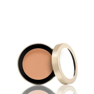 Enlighten Concealer™