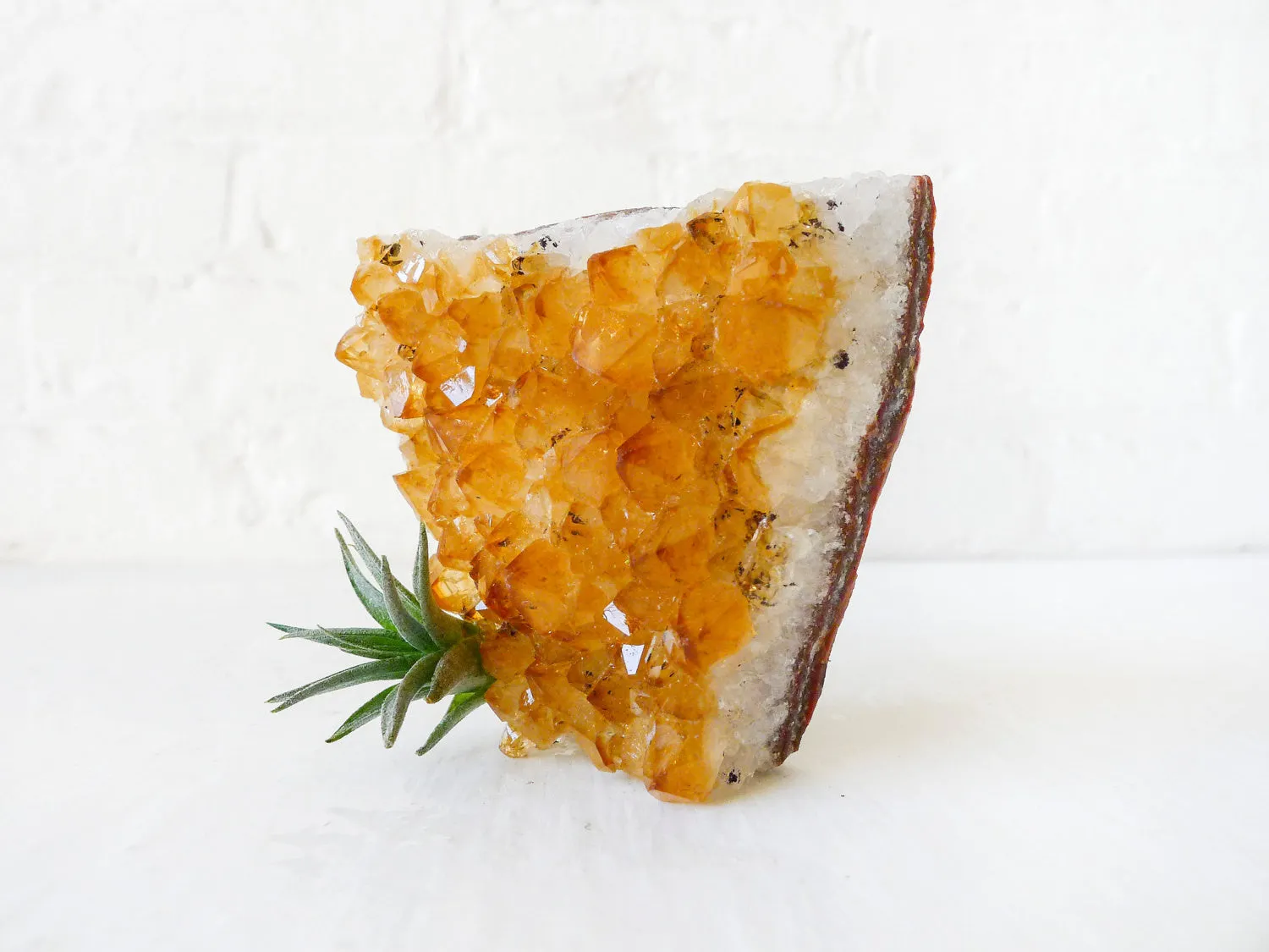 Horizontal Citrine Crystal Air Plant Garden