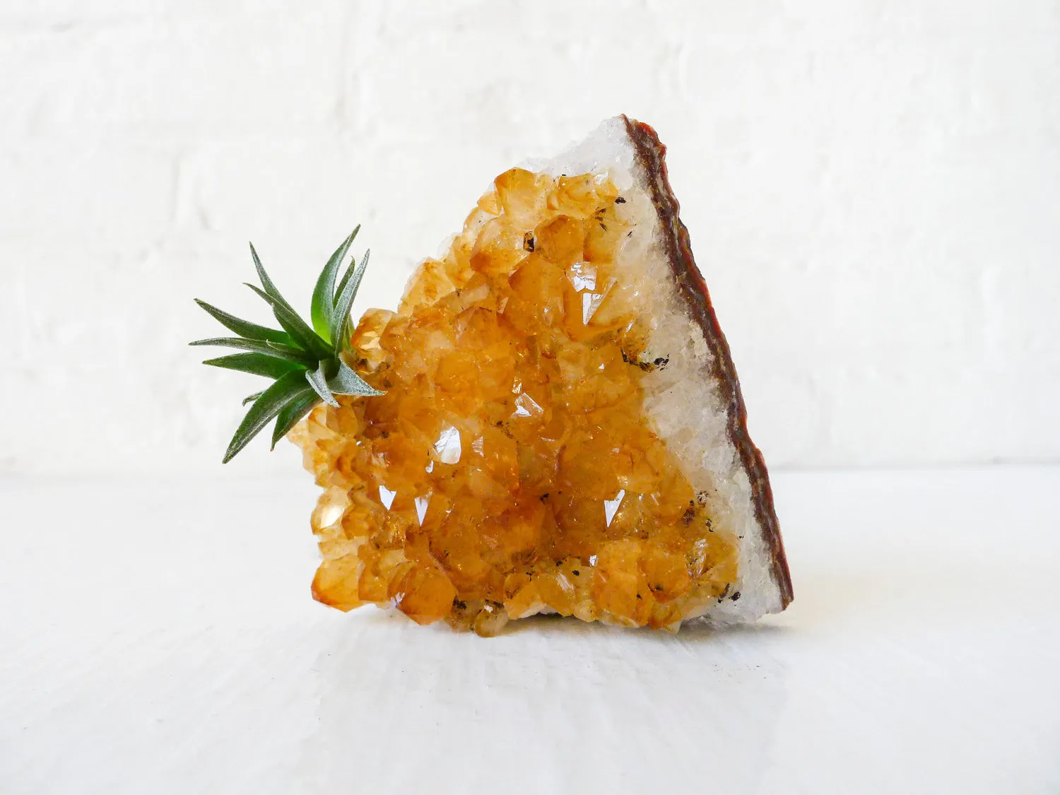 Horizontal Citrine Crystal Air Plant Garden