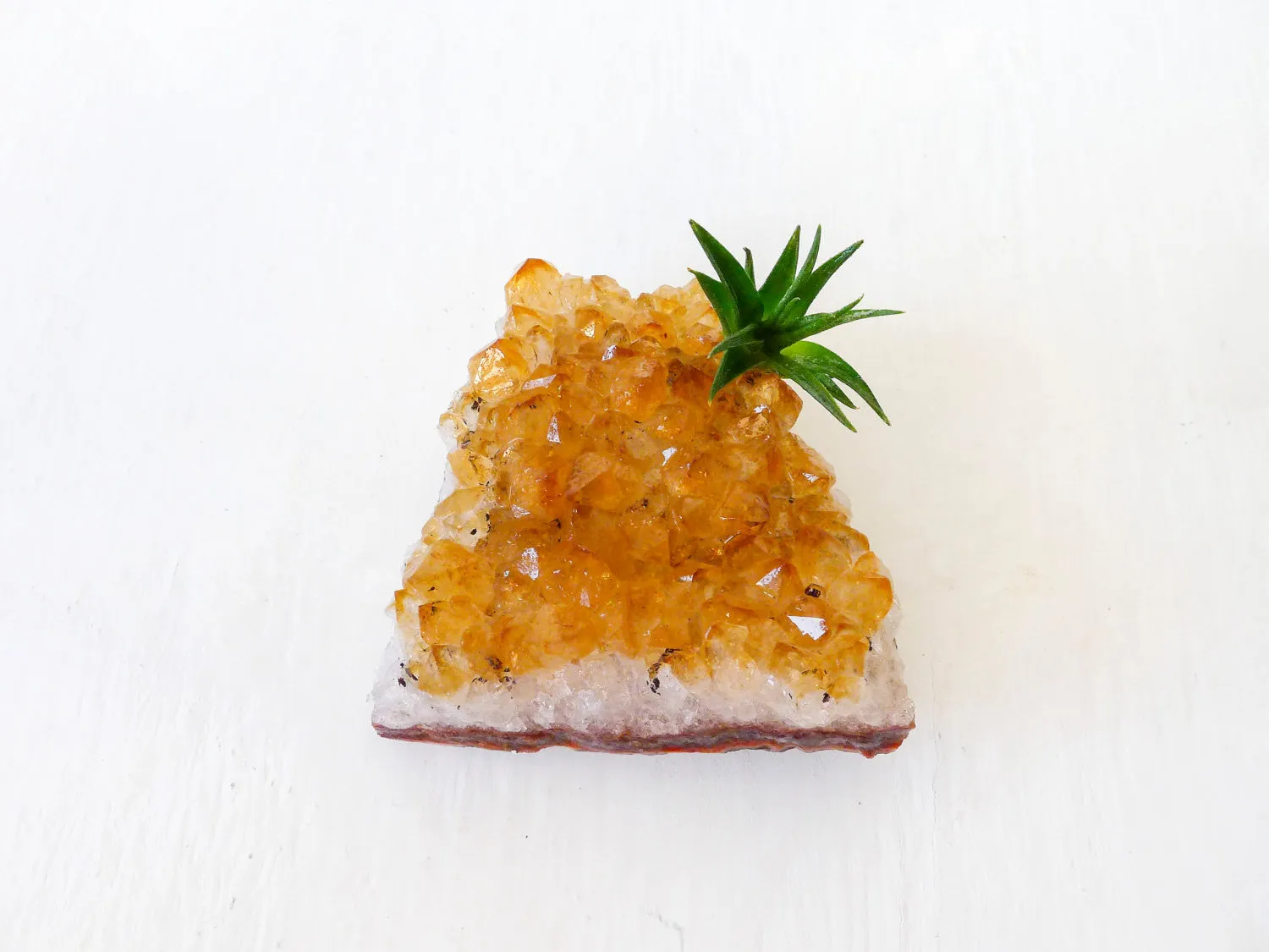 Horizontal Citrine Crystal Air Plant Garden